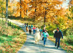 Fall